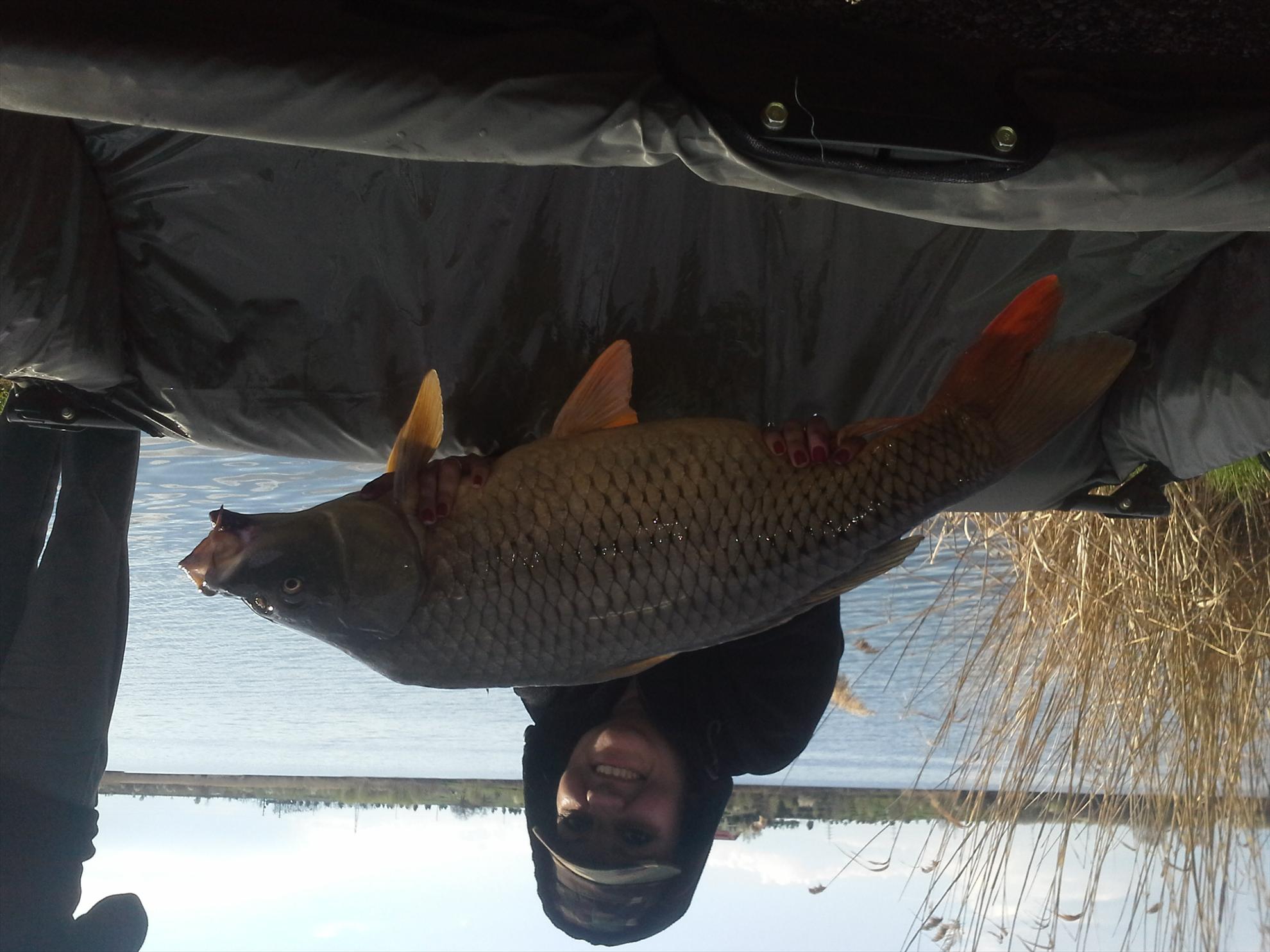 Pescuit la crap - 2013041417360311.jpg